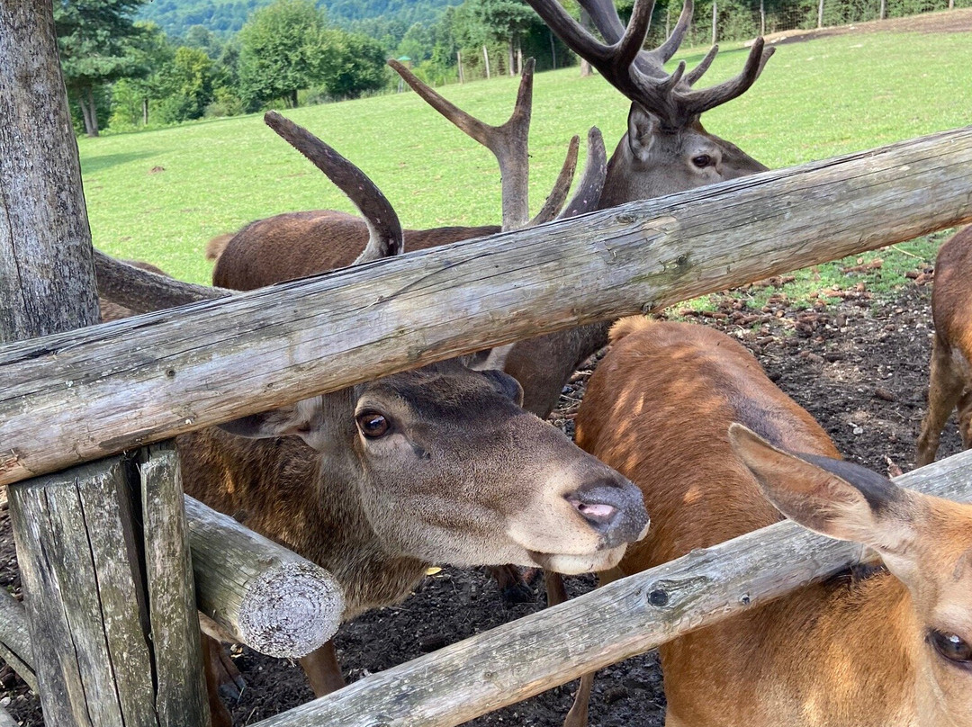 Ranch Deer Valley-Dreznik Grad必去景点