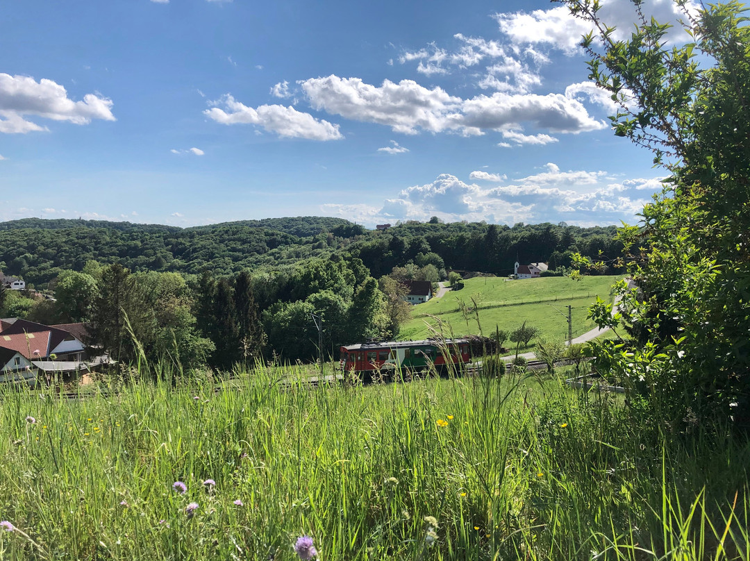 Bahnerlebnis Steiermark-费尔德巴赫必去景点