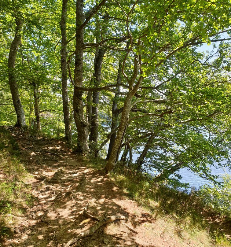 Bassin du Lampy景点图片