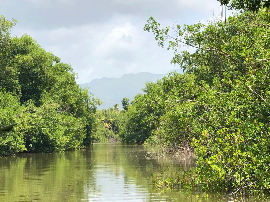 La Paseadora del Río Espíritu Santo-Rio Grande必去景点