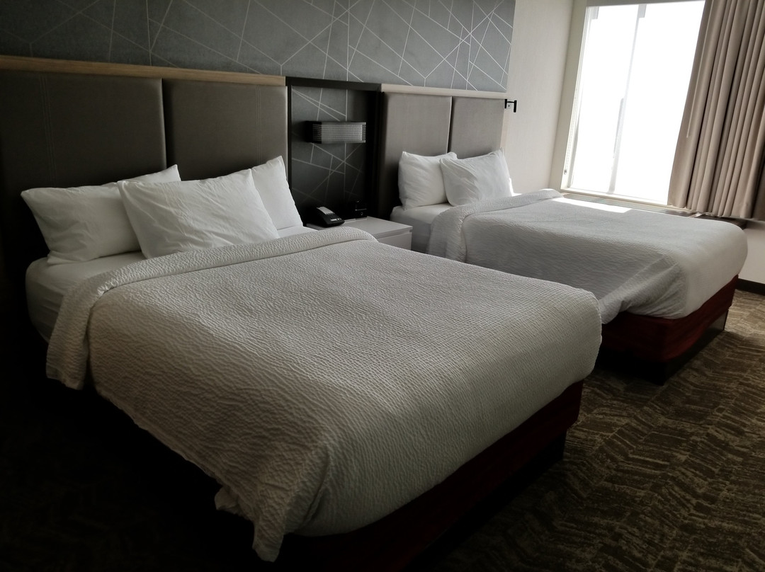 纽华克市区SpringHill Suites酒店主图