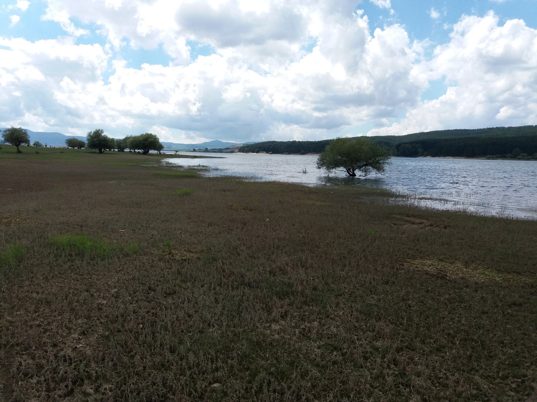Lago Cecita景点图片