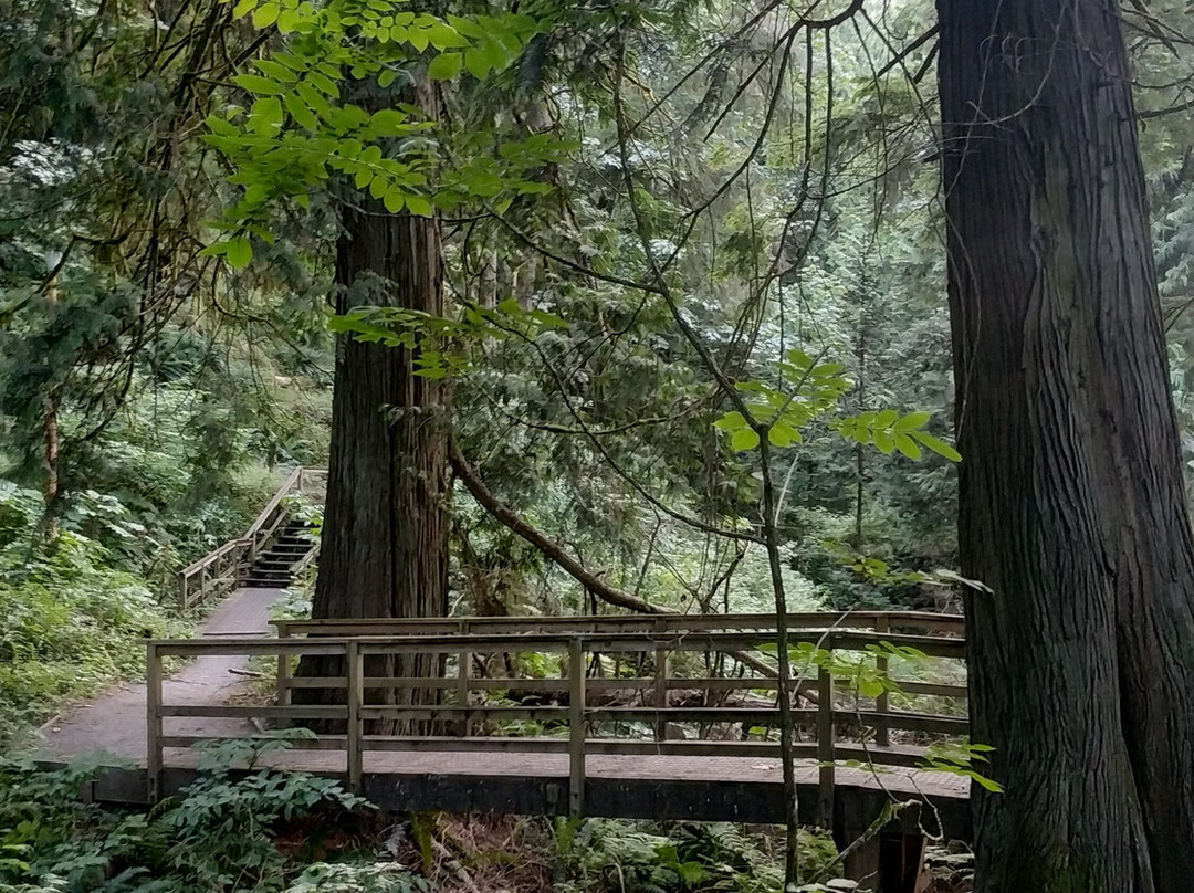 Miami Bridges Walk-哈里逊温泉必去景点