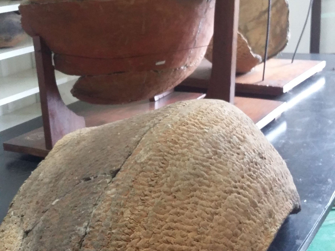 Herminio Bueno Historic Municipal Museum-Mogi Guacu必去景点