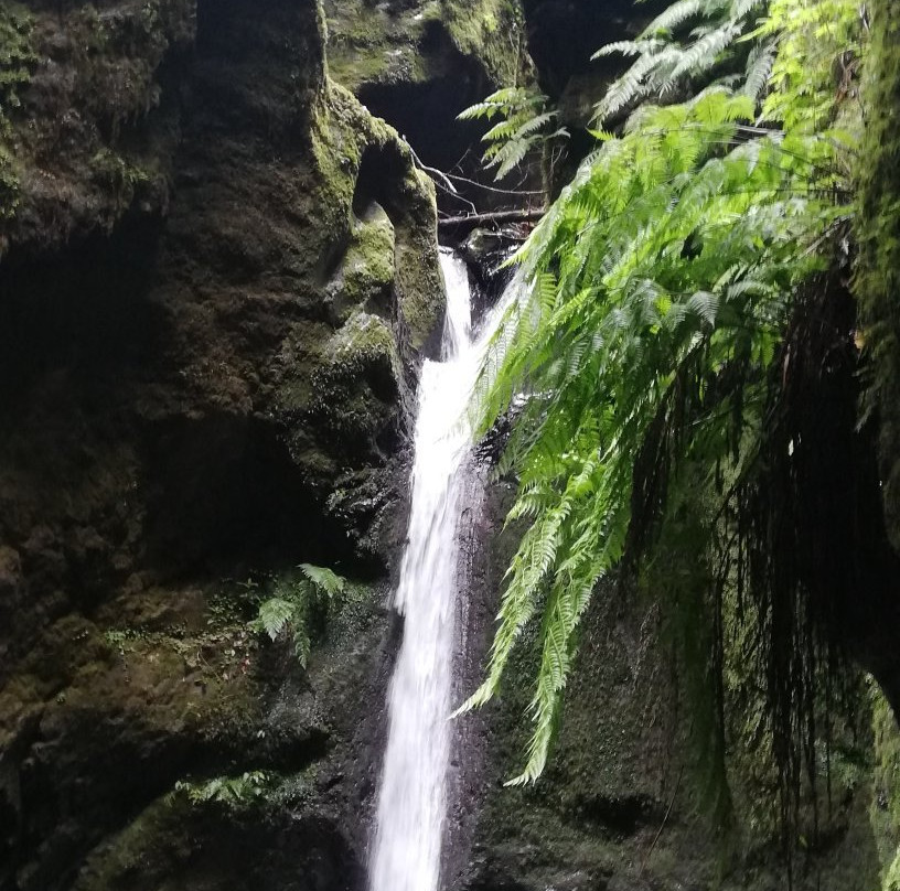 Levada Caldeirão do Inferno-Santana必去景点
