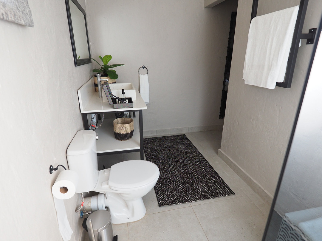 Fever Tree Guesthouse主图