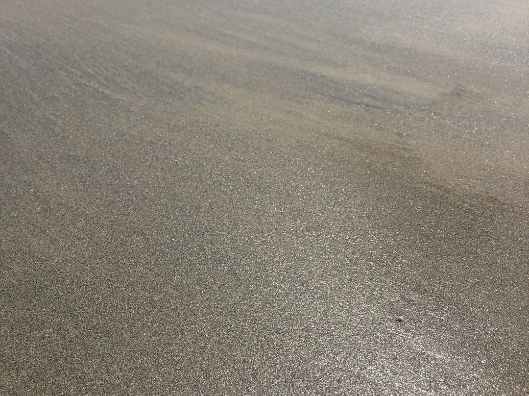 Plage des Blancs Sablons-勒孔凯必去景点