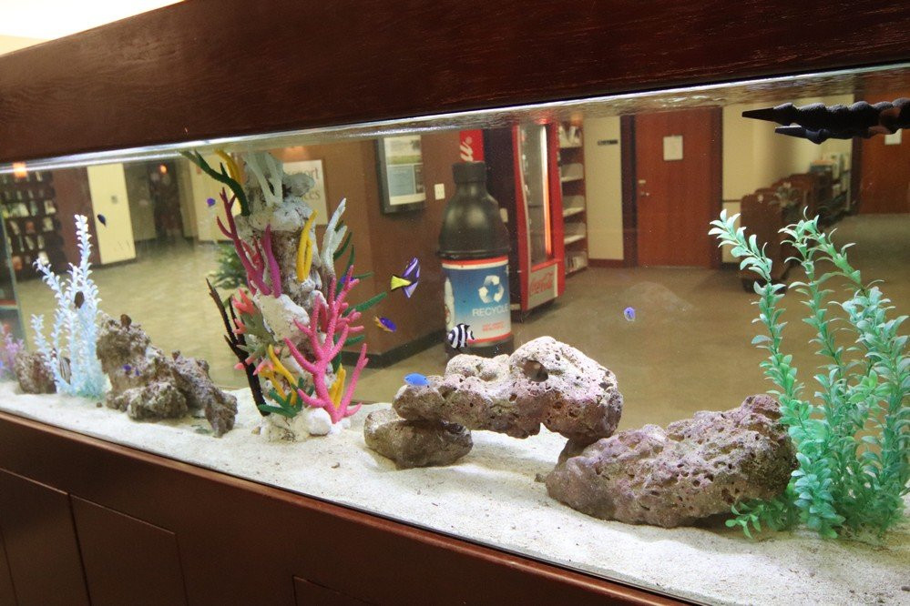 Corona Public Library-科罗纳必去景点