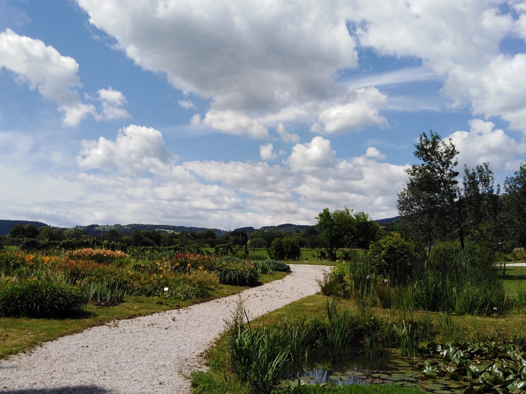 Botanical Garden Of University Of Maribor-马里博尔必去景点