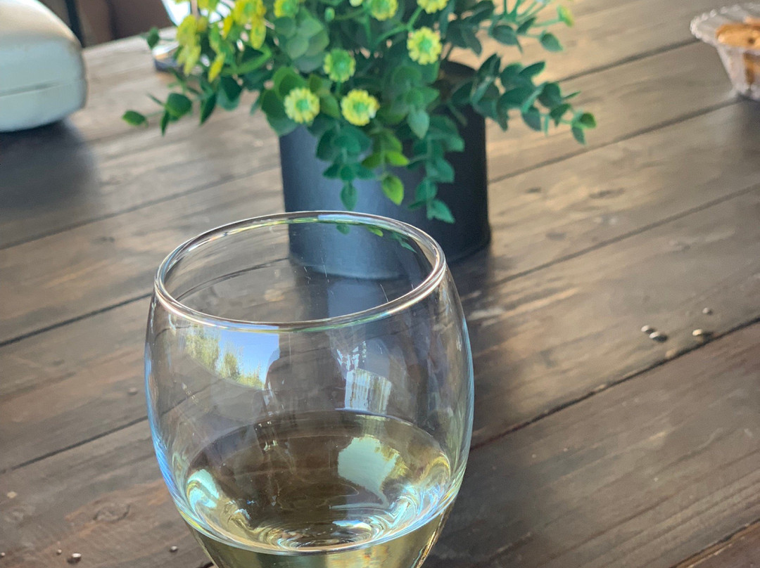 Tzuba Winery-耶路撒冷必去景点