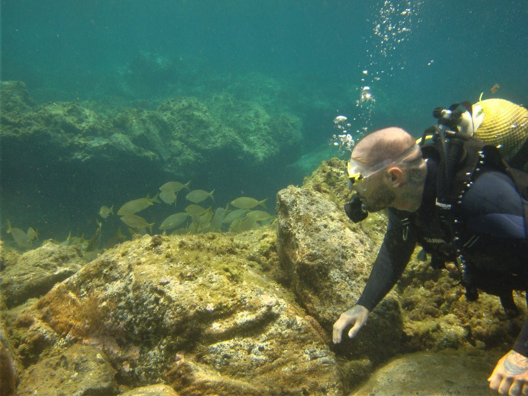 Atlantic Eco Diving-奥德杰海岸必去景点