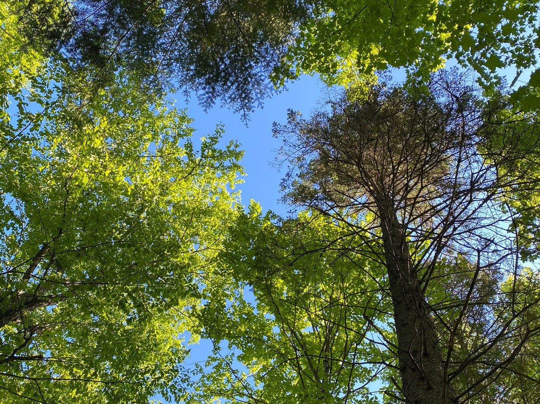 Reserve Faunique Mastigouche-Saint-Alexis-des-Monts必去景点