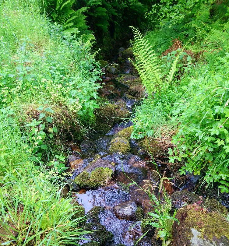 Cheviot Hills-Wooler必去景点