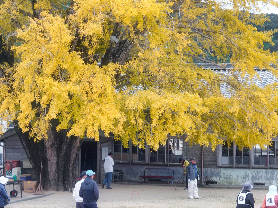 Kouchi Meeting Facility景点图片