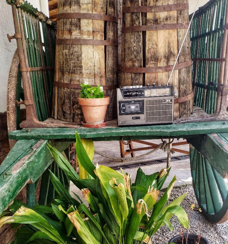 Bodega del Nero-钦琼必去景点