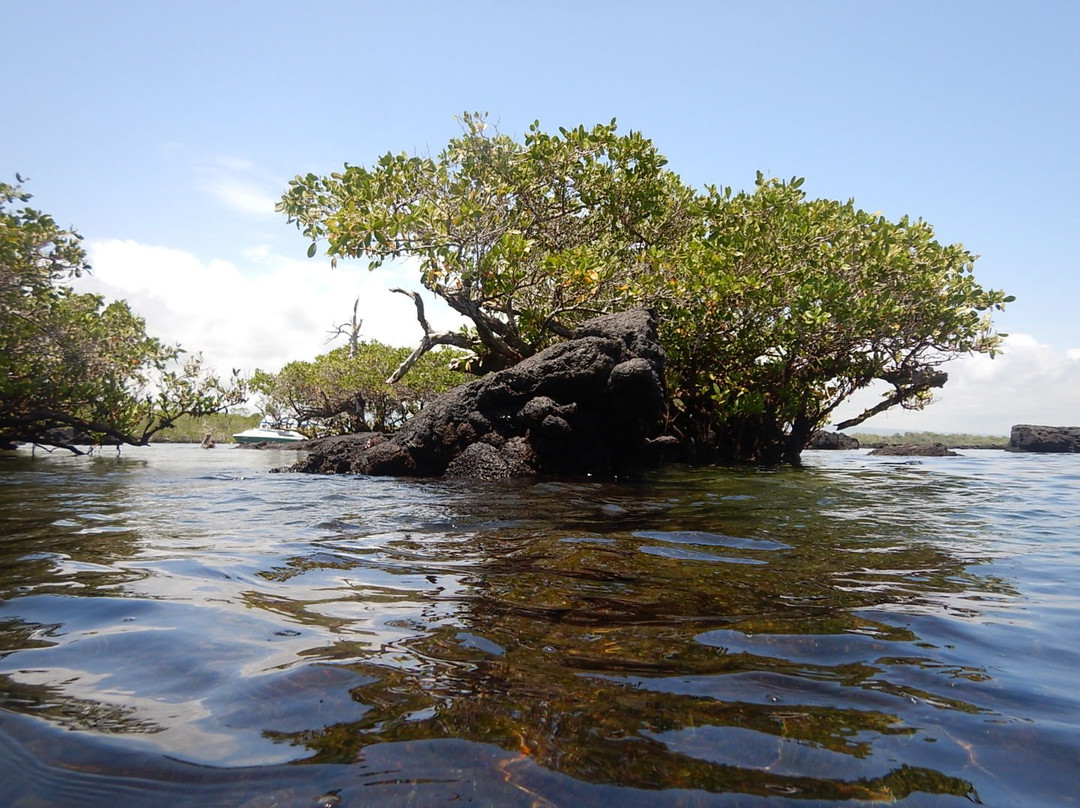 Kicker Rock-Puerto Baquerizo Moreno必去景点