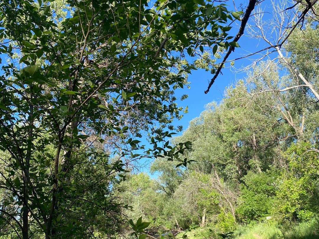 Bear Creek Greenbelt景点图片