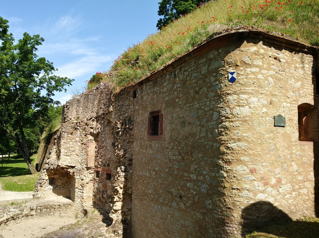 Festung Rüsselsheim景点图片