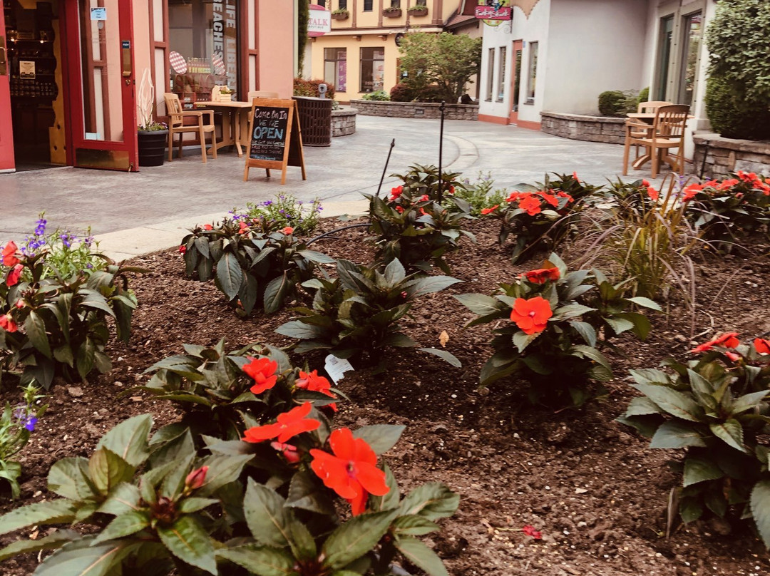 Cherry Republic of Frankenmuth-弗兰肯默斯必去景点