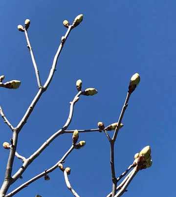 荔湾湖公园-广州市必去景点