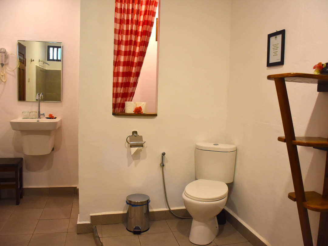 The Hangout@ EcoTravel主图