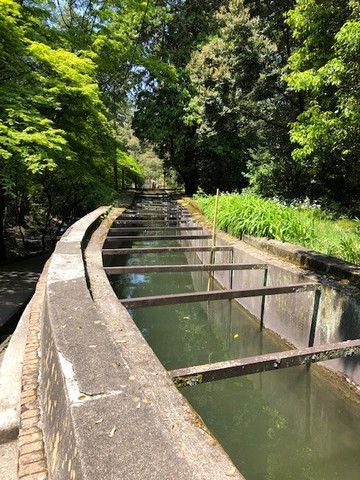 南禅寺水路阁-京都市必去景点