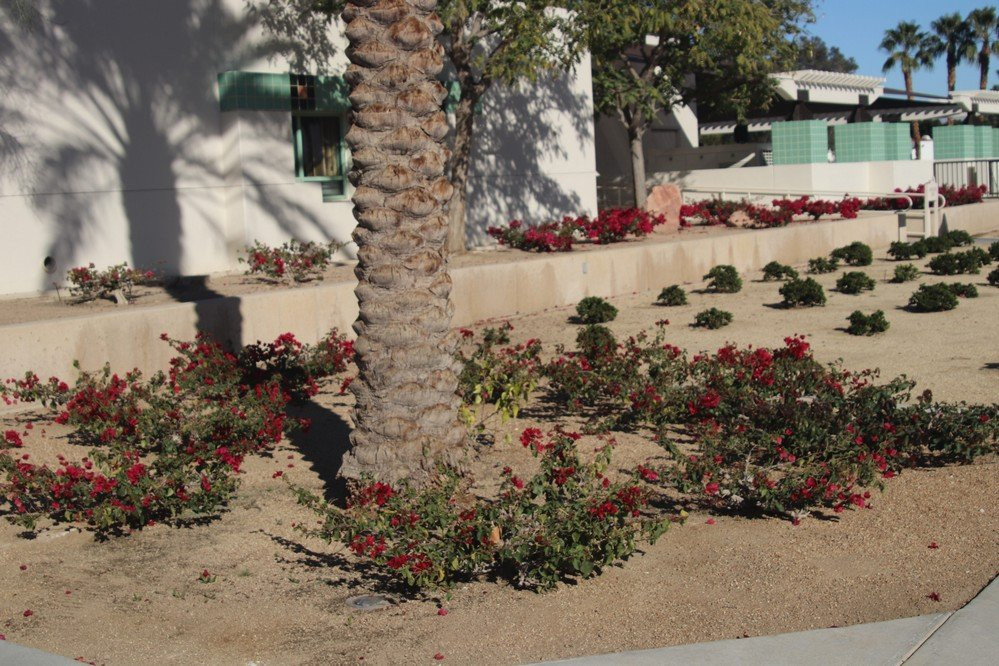 City Hall-拉金塔必去景点