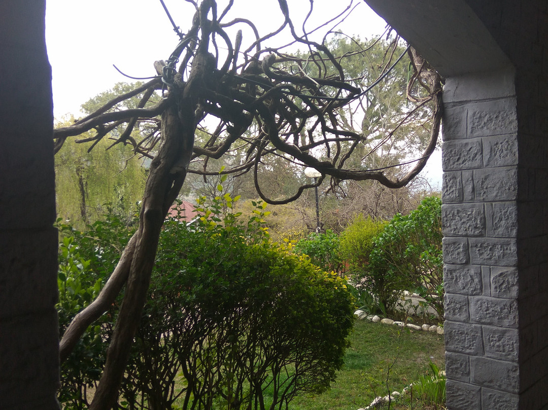 The Pinewood (HPTDC)主图