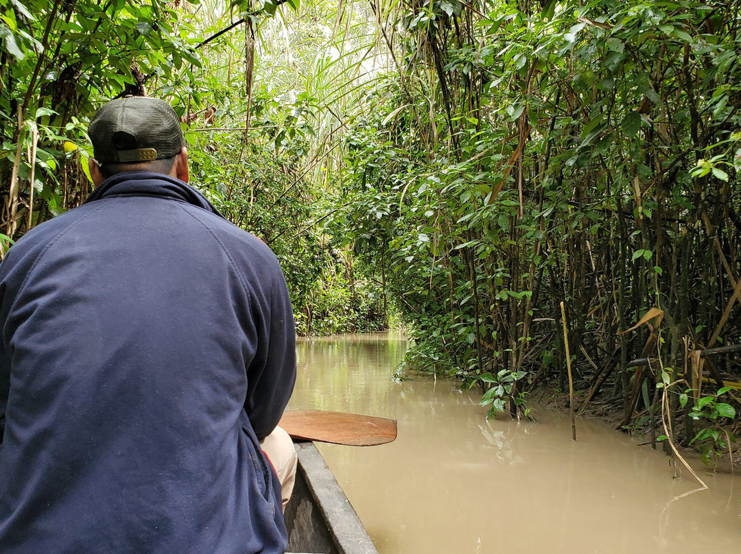 Amazon Maguta Jungle Lodge景点图片