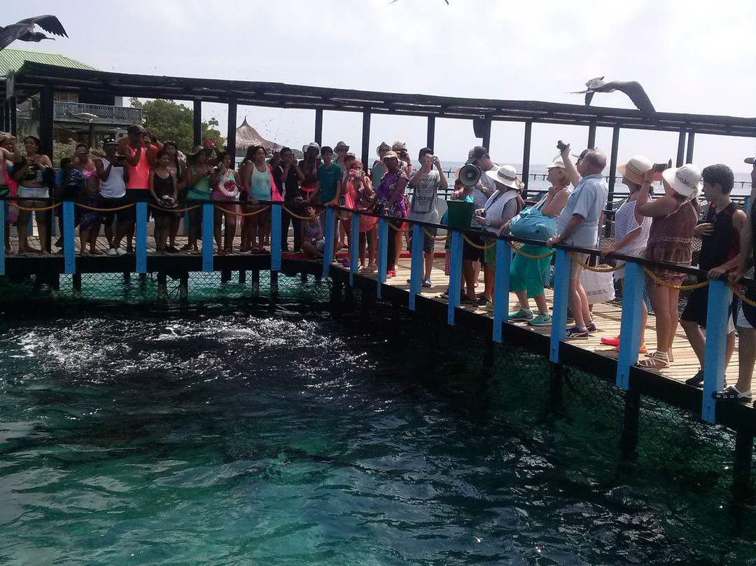 Oceanario-Islas de Rosario必去景点