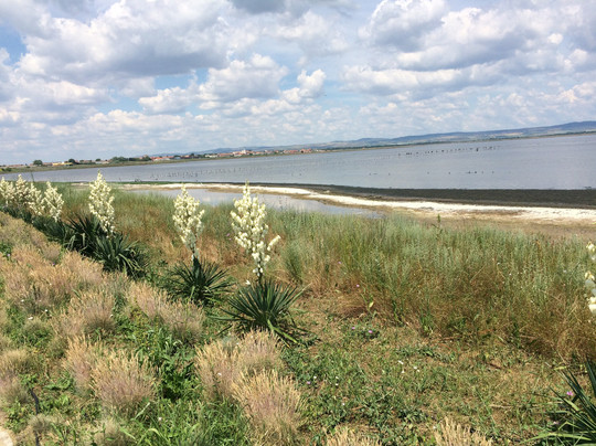Pomorie Lake-帕莫瑞必去景点