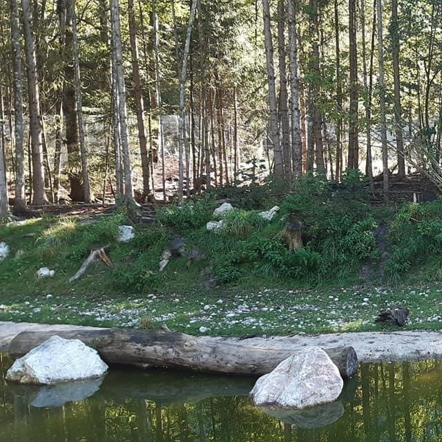 National Park Hohe Tauern景点图片