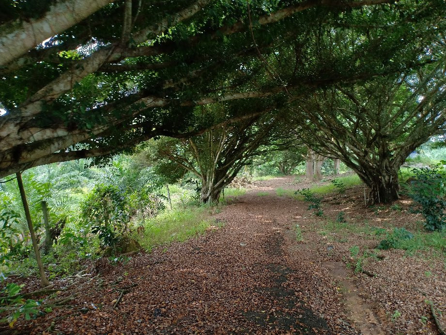 Sungai Lui War Memorial-Kampung Baharu Sungai Lui必去景点