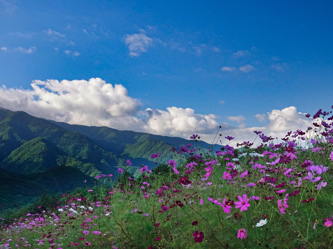 Jibuzaka Highland Ski Area景点图片