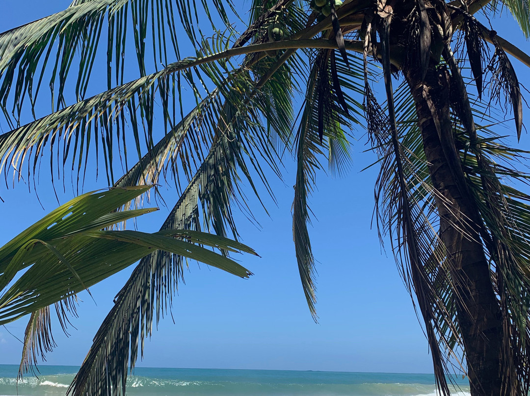 Oasis Bluff Beach主图