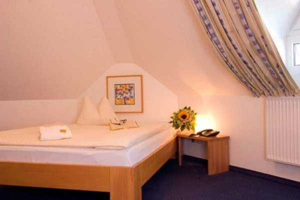 Nibelungen Hof主图