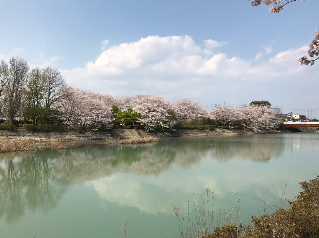 Sakanaigawa Shinsui Park-松阪市必去景点