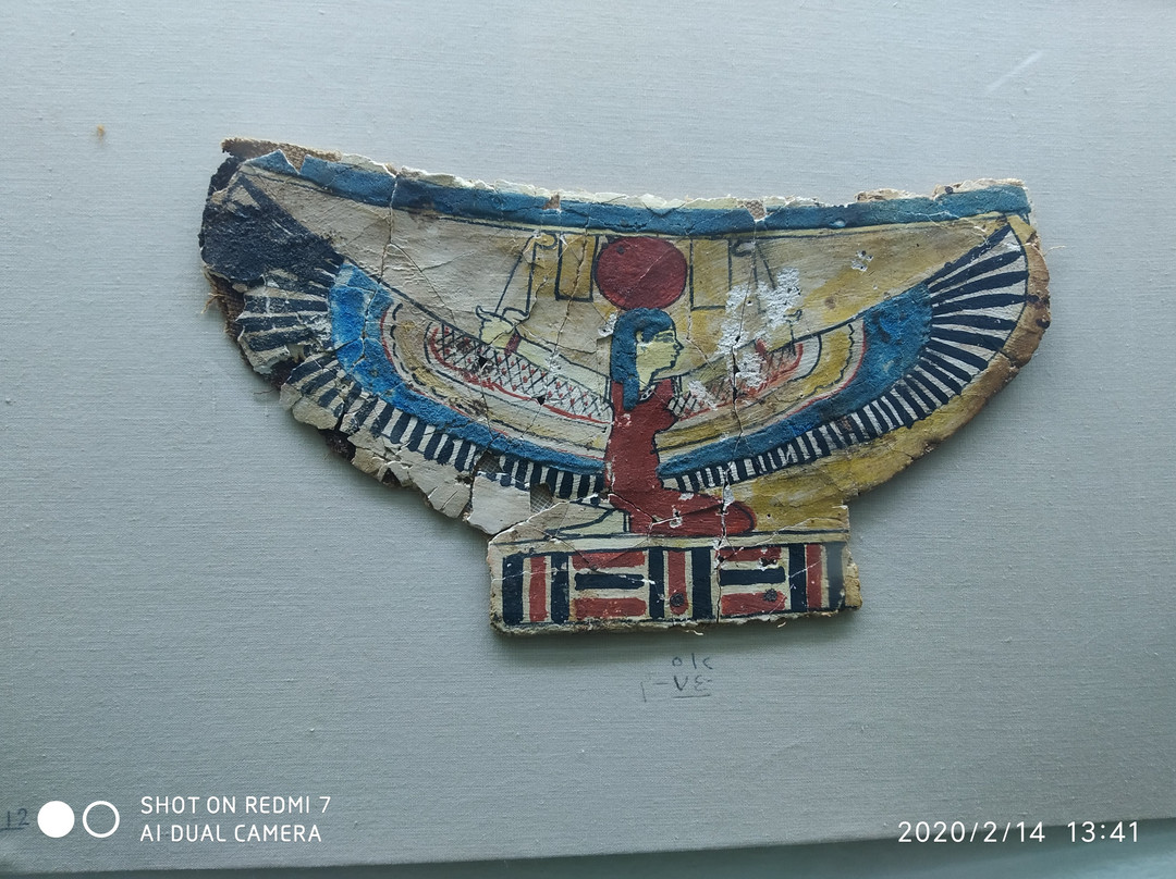 New Valley Museum-Kharga必去景点