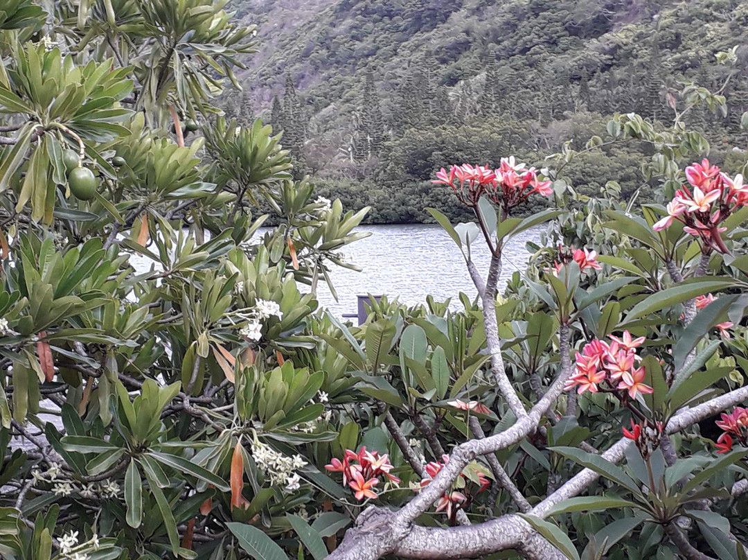 Ka Waboana Lodge主图