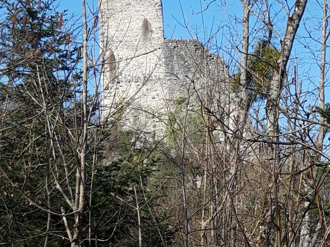 Chateau de Vorbourg-德莱蒙必去景点