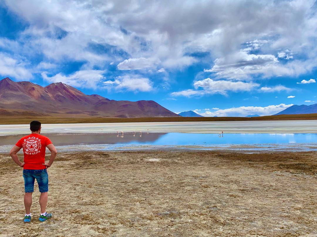 Laguna Hedionda-乌尤尼必去景点