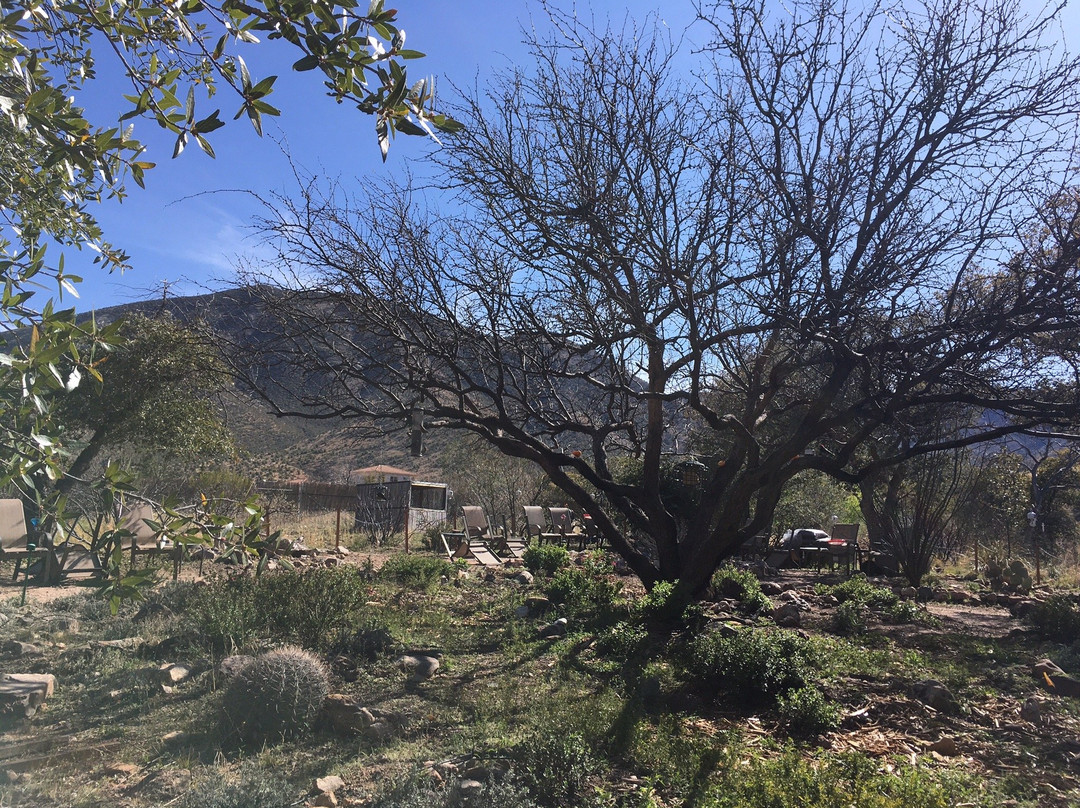 Ash Canyon Bird Sanctuary景点图片