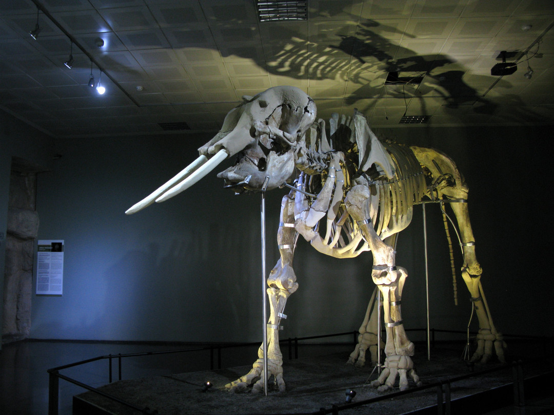 Kahramanmaras Arkeoloji Muzesi-Kahramanmaras必去景点