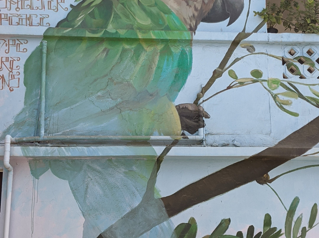 Street Murals By Aruba Art Fair-San Nicolas必去景点