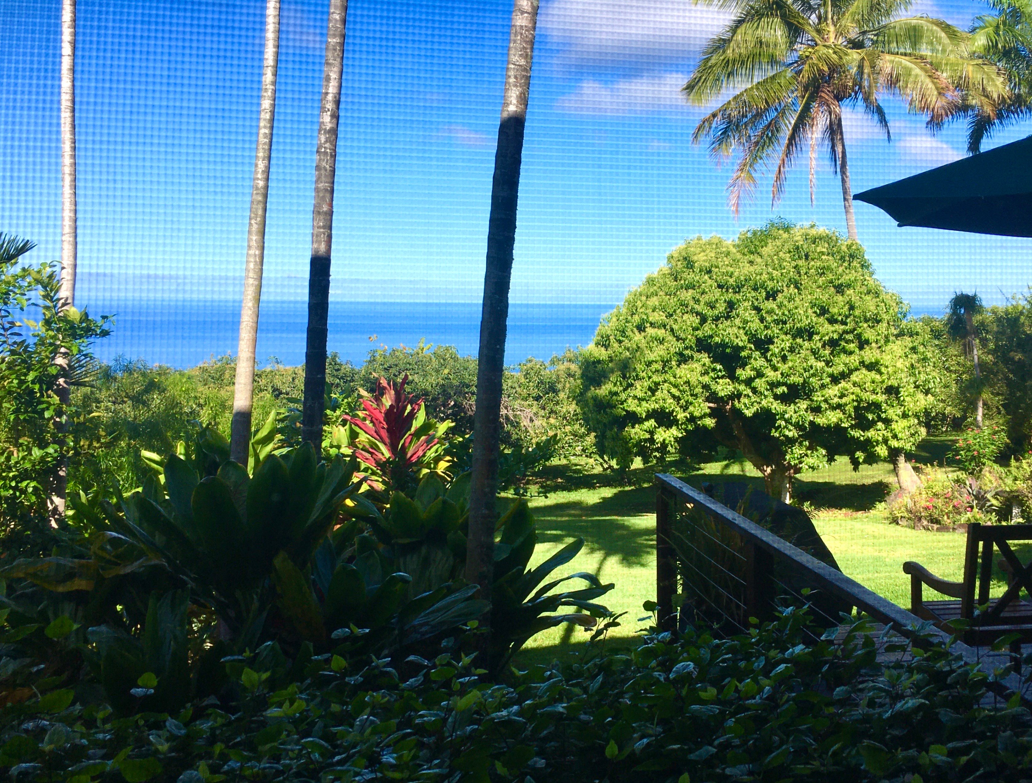 Kane Plantation Guesthouse-浴室