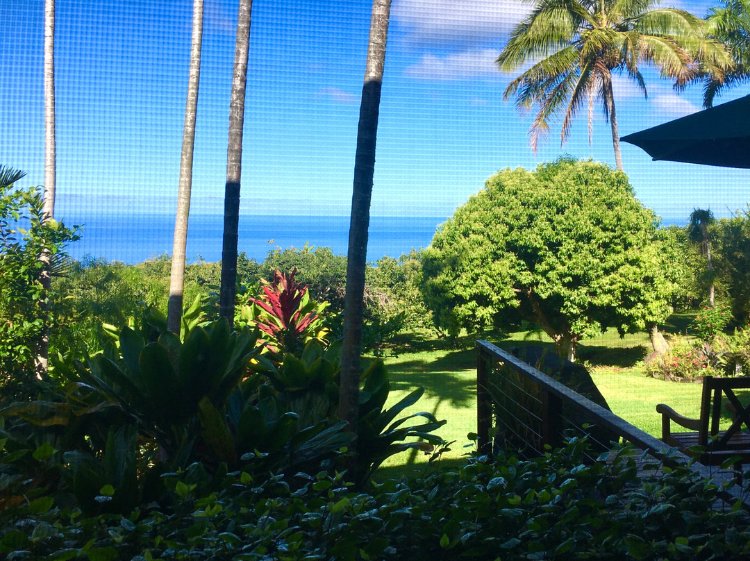 Kane Plantation Guesthouse主图