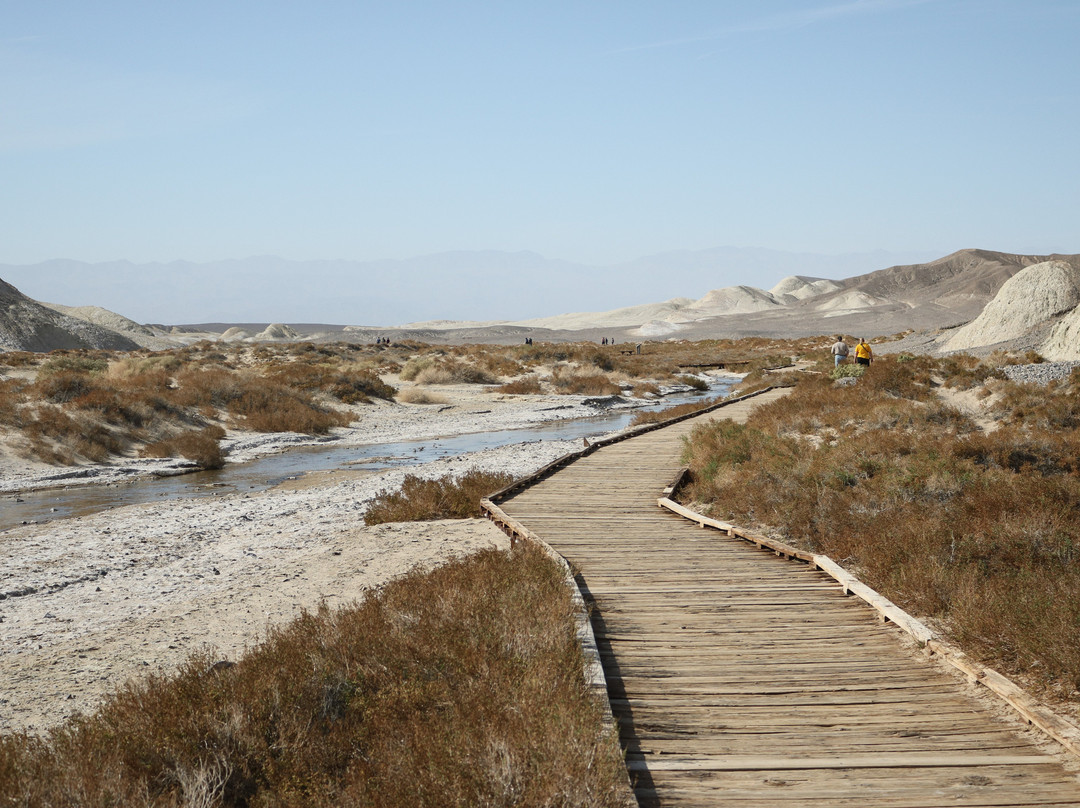 Salt Creek Interpretive Trail-死亡谷国家公园必去景点