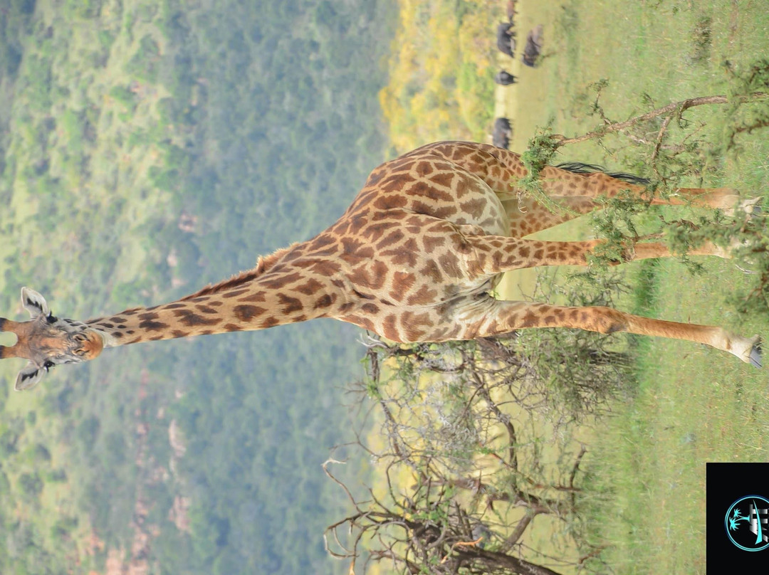 MOHRALE TOURS $ TRAVEL-Eldoret必去景点