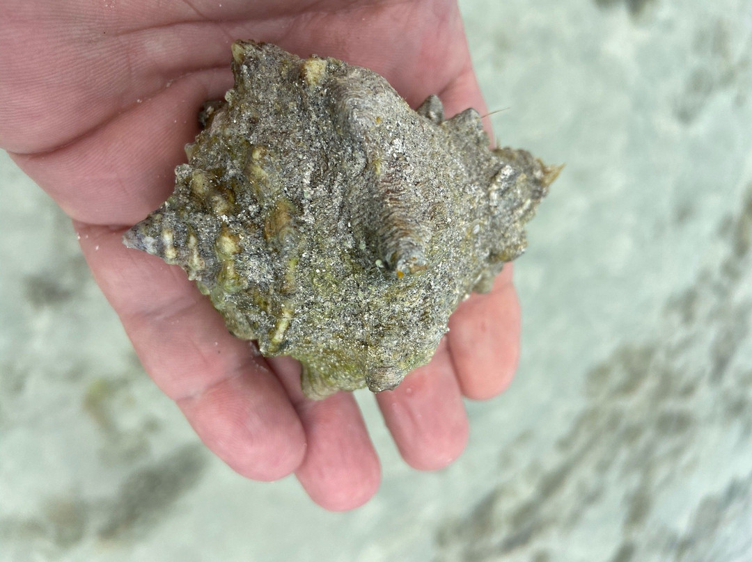 Native Guidance-Sugarloaf必去景点