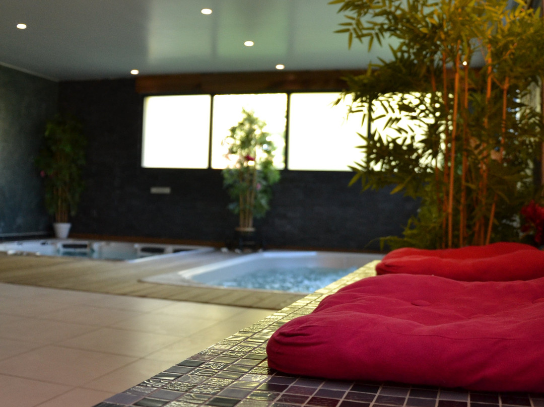 Espace Spa Bien Etre Cornebarrieu景点图片